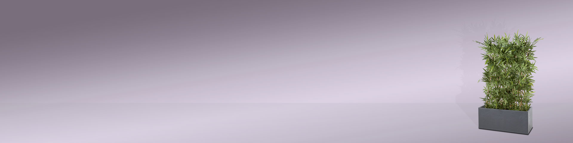 backgroung Image