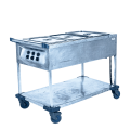 Bain-marie électrique 220 v
