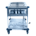 Bain-marie électrique 220 v
