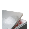 Glace paillette de 20 kg + bac isotherme