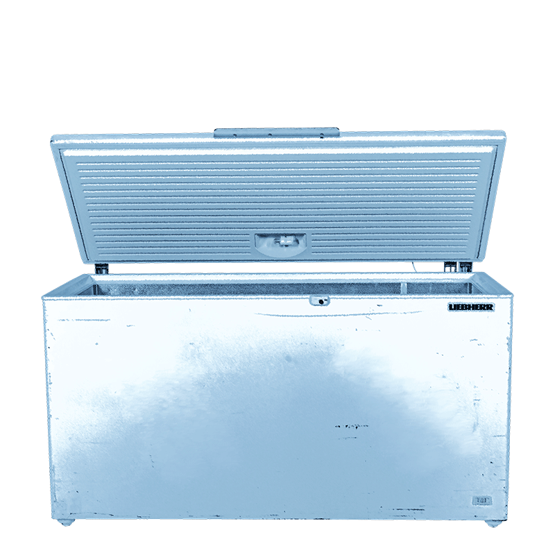 Congélateur 560 litres 220 v