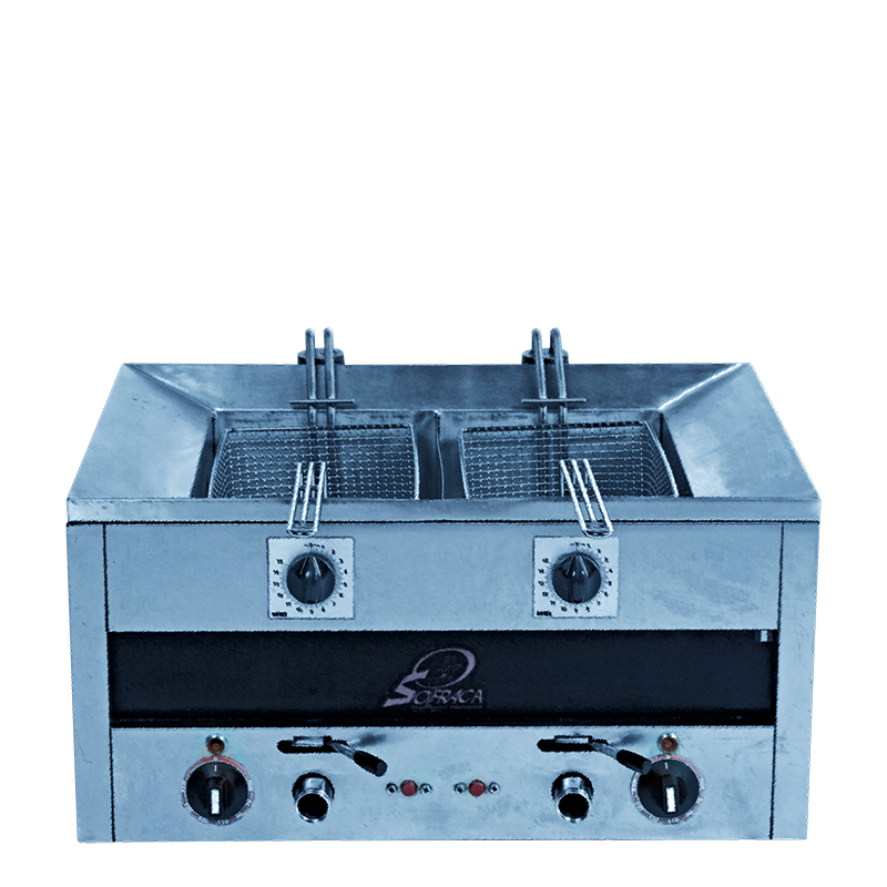 Friteuse double électrique 220 v