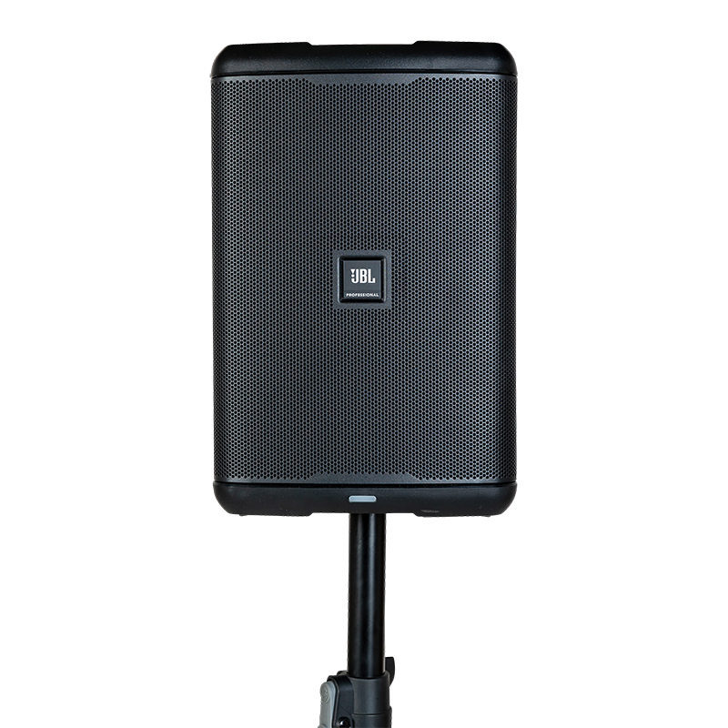 Sono : 1 enceinte - 2 pieds de micro - 2 micros