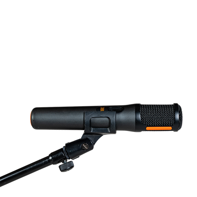 Sono : 1 enceinte - 2 pieds de micro - 2 micros