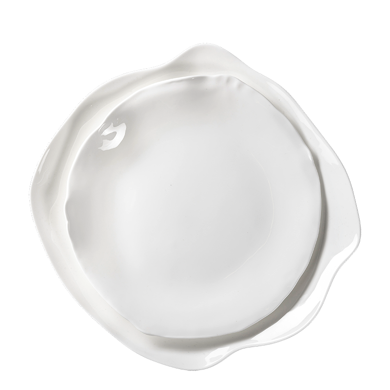 Assiettes Artic