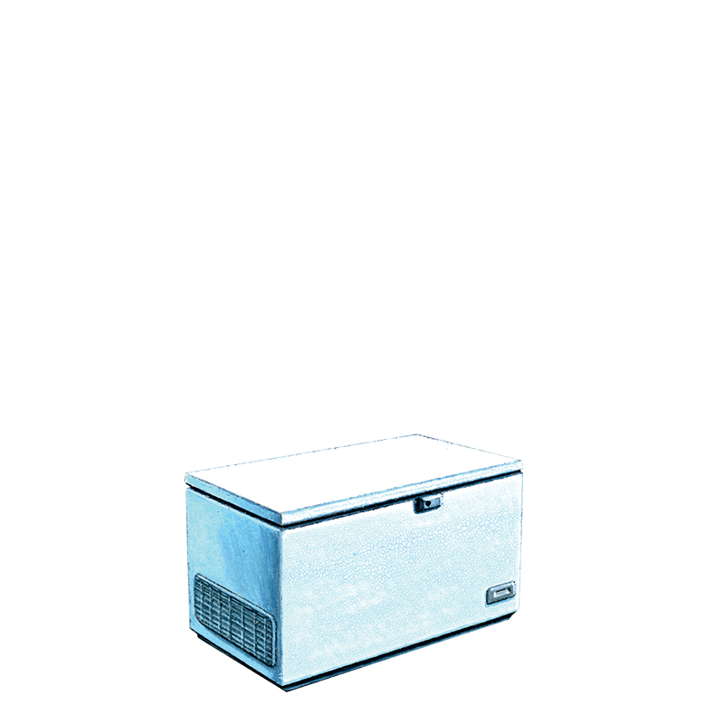 Congélateur 560 litres 220 v