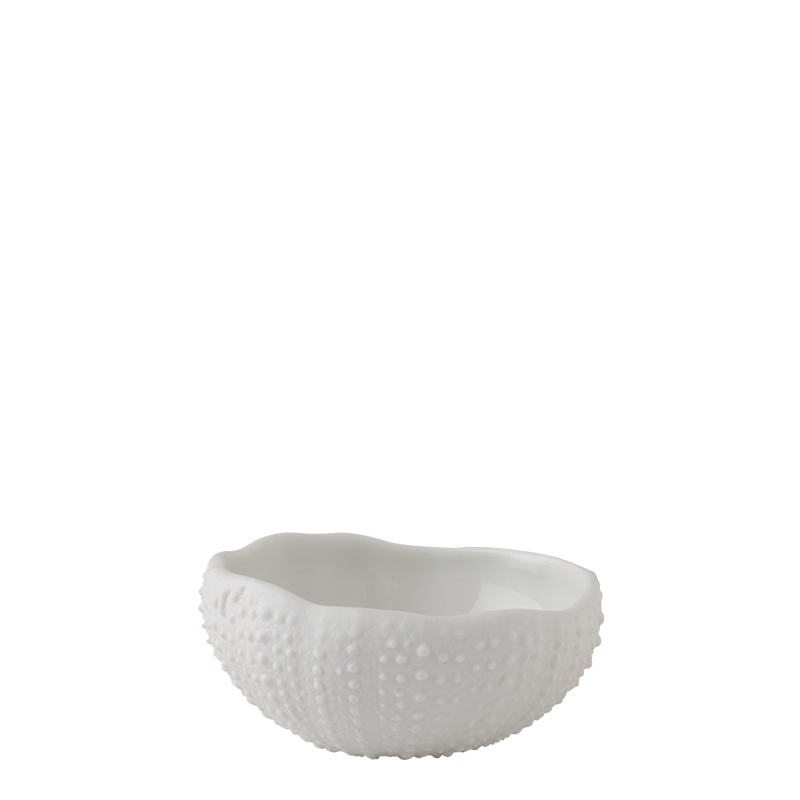 Mini oursin blanc 2 cl
