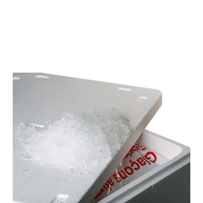 Glace paillette de 20 kg + bac isotherme