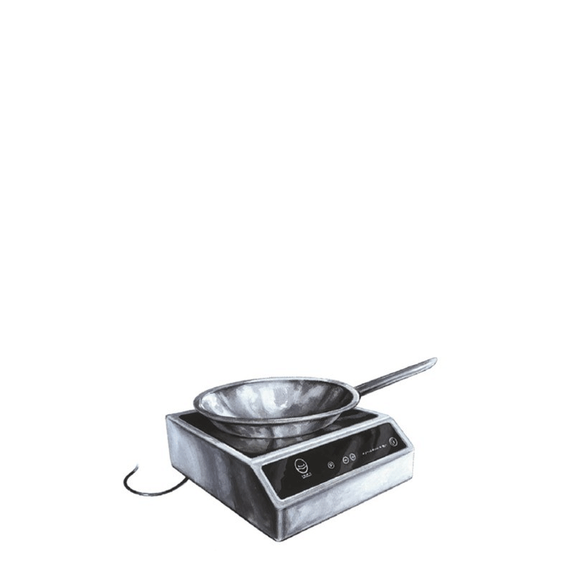 Réchaud à induction petit modèle + wok