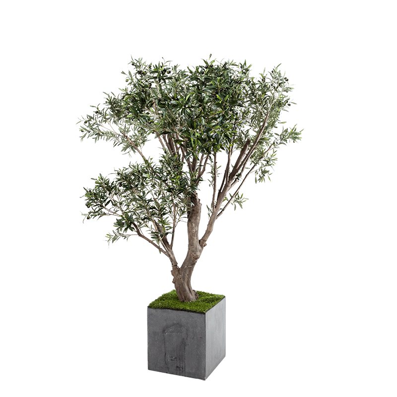 Olivier artificiel H 185 cm avec pot