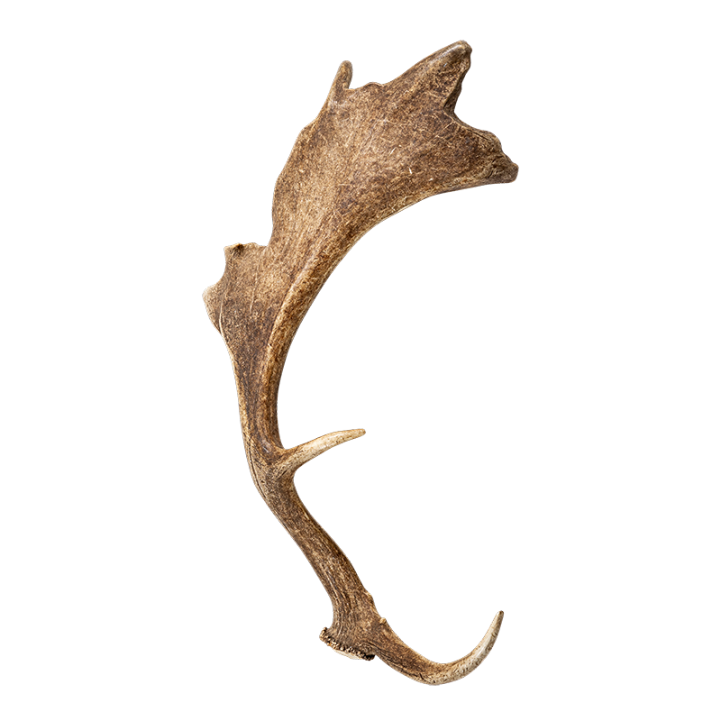 Bois de caribou Vintage