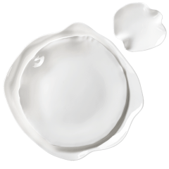 Assiettes Artic